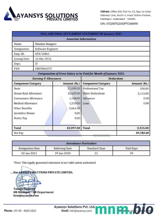 Szablon firmy oprogramowania Ayansys Solutions w formatach Word i PDF